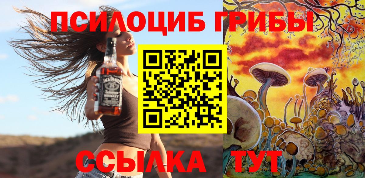 Псилоцибиновые грибы Psilocybe  Псилоцибиновые грибы ЛСД  Ирбит  Вход с VPN 